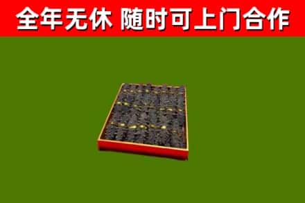晋州回收海参